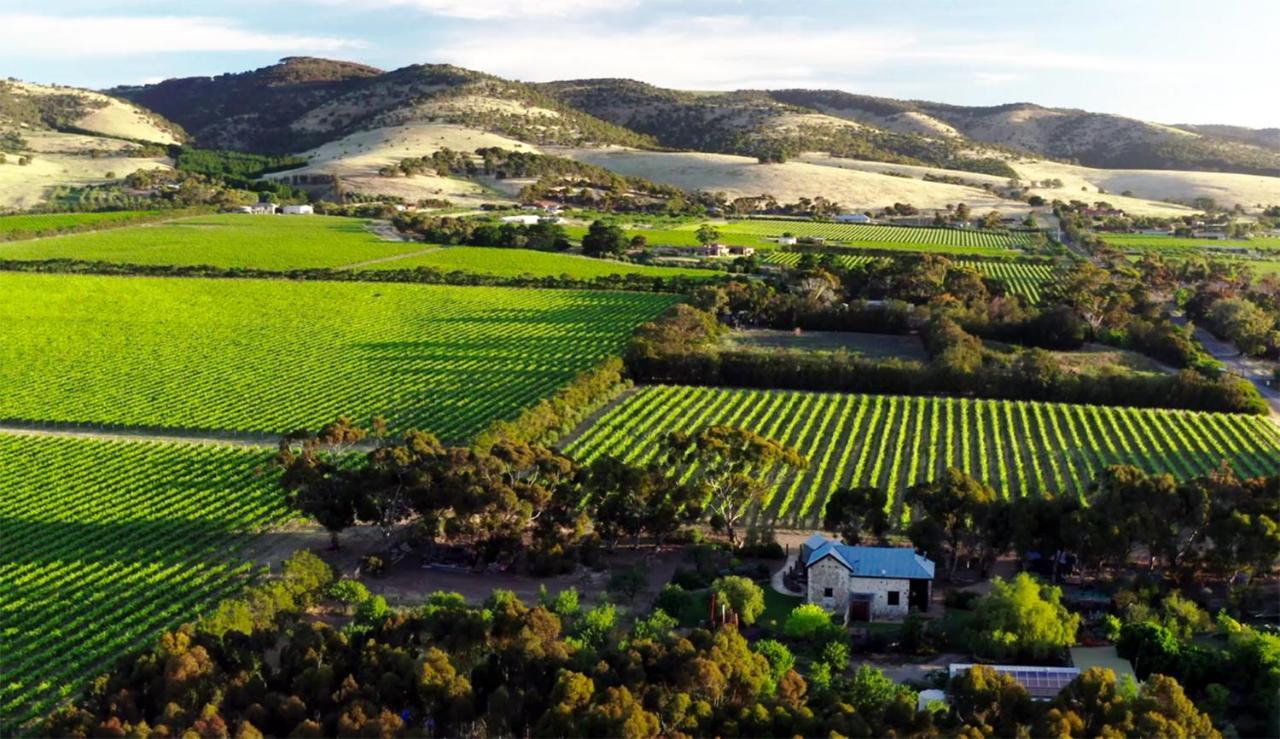 The Old Chaff Mill Organic Vineyard Retreat Bed and Breakfast Sellicks Hill Eksteriør billede