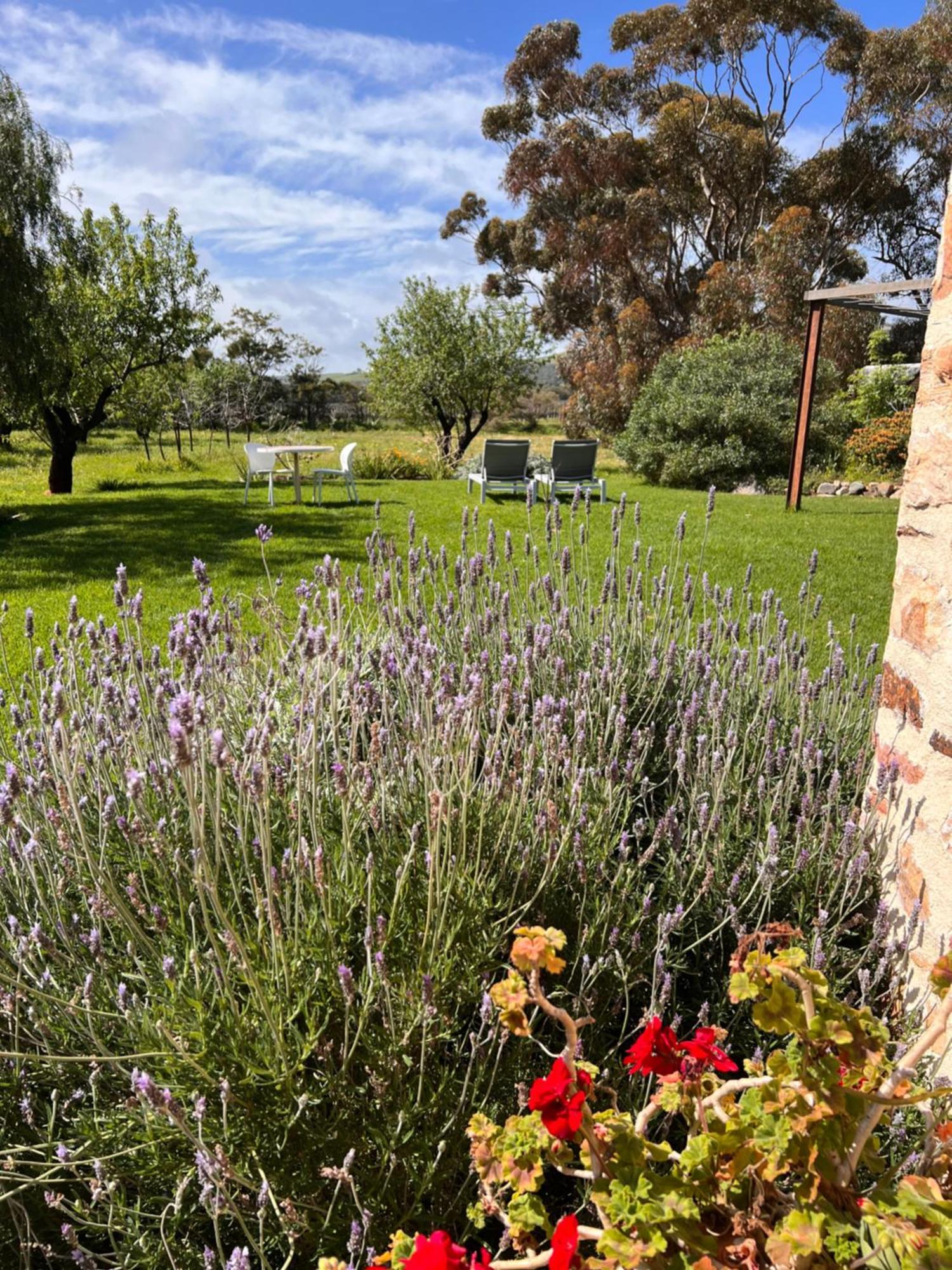 The Old Chaff Mill Organic Vineyard Retreat Bed and Breakfast Sellicks Hill Eksteriør billede